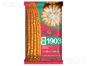 ¡��1903-��������-��¡����