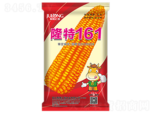 ¡��161-��������-��¡����
