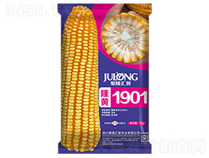 ¡��1901-��������-��¡����