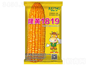 ¡��1819-��������-��¡����