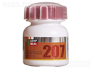 207ֲ��ϸ�����ԳƵ�����-�շ�