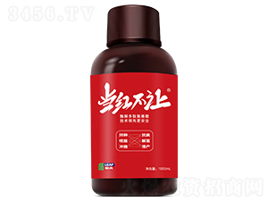1000ml���ӱ�����-���첻��-�շ�