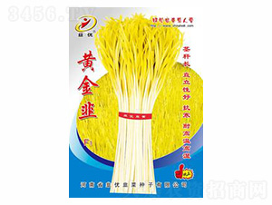 �ƽ��F1-������ҵ