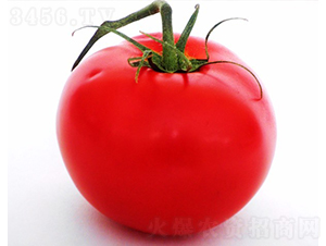 CNUS1607F1-����������������-��������