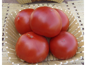 CNUS028F1-����������������-��������