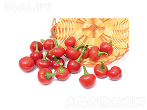 ���2��-���콷����-�췢��ʢ