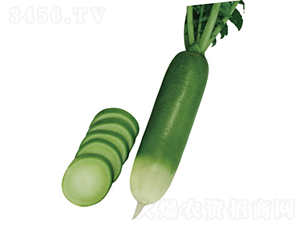 ����-�ܲ�����-�췢��ʢ