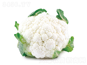 �컨55��-��Ҭ������-�췢��ʢ