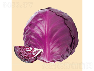�ϻʺ�65��-��������-�췢��ʢ