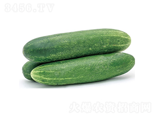 ����717-�ƹ�����-�췢��ʢ