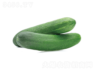 ����818-�ƹ�����-�췢��ʢ