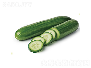 ����616-�ƹ�����-�췢��ʢ