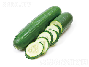 ����909-�ƹ�����-�췢��ʢ