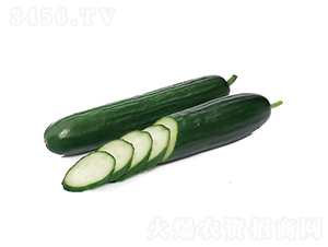 ����988-�ƹ�����-�췢��ʢ
