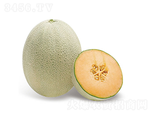 �콾-�������-�췢��ʢ
