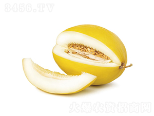 ����1��-�������-�췢��ʢ