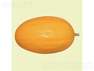 ����2��-�������-�췢��ʢ
