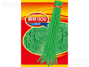 ����906-��������-��������