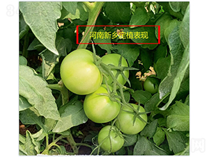 ����1622-��������-��������