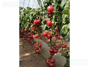 �콢010-��������-��������