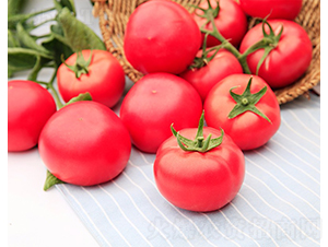 �콢-��������-��������