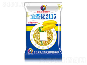 ������2115-��ɫ�̵�