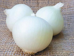 ������Ʒ��ON-020-�������-³��