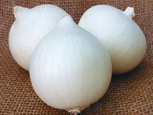 ������Ʒ��ON-026-�������-³��