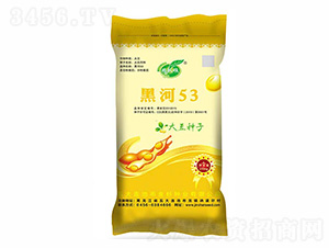 �ں�53-��ɼ��ҵ