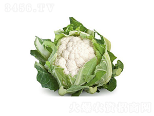 ����904-��������-��ũũҵ