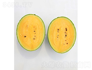 ��ũ��Ʒ1��-��������-��ũũҵ