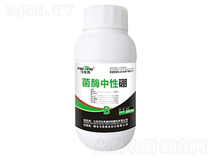200ml��ø������-��ϣķ