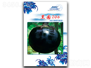 ��԰206���������Ϻ�Բ�ѣ�-��������-��ľï��