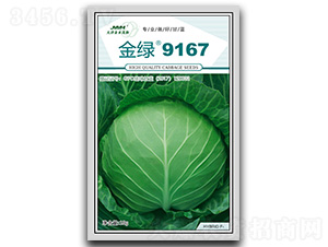 ����9167-��������-��ľï��