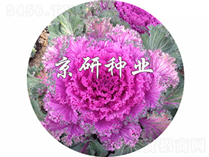 ���ں�6��-��������-������ҵ