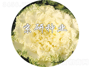 ���ڰ�1��-��������-������ҵ