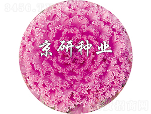 ���ں�7��-��������-������ҵ