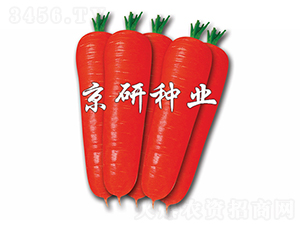 ��о90-���ܲ�����-������ҵ