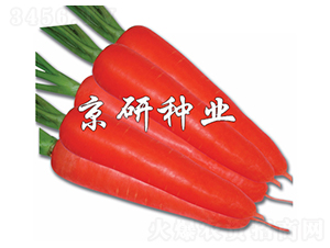 ��о105-���ܲ�����-������ҵ