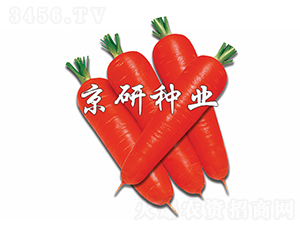 ��о95-���ܲ�����-������ҵ
