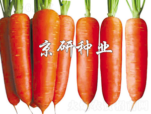 ����208-���ܲ�����-������ҵ