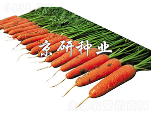 ����218-���ܲ�����-������ҵ