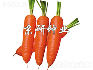 ����228-���ܲ�����-������ҵ