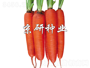 ����238-���ܲ�����-������ҵ