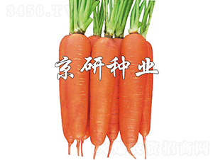 ����258-���ܲ�����-������ҵ
