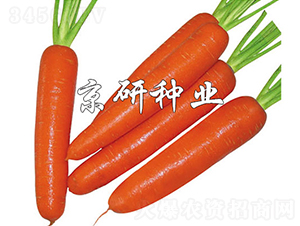 ����268-���ܲ�����-������ҵ