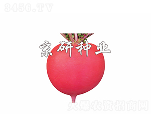 ����4��-�ܲ�����-������ҵ
