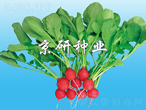 ���к�ӣ��-�ܲ�����-������ҵ