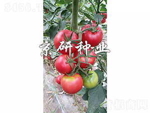 ����301-��������-������ҵ