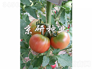 ����302-��������-������ҵ